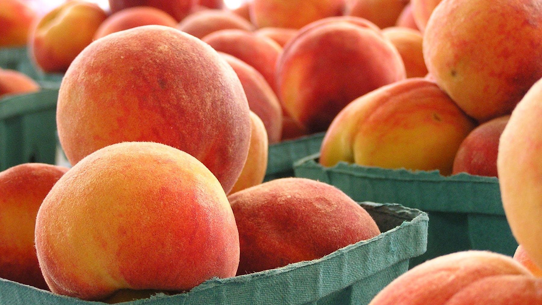 The Peach Truck Tour 2020: Pre-orders available for Indianapolis stops