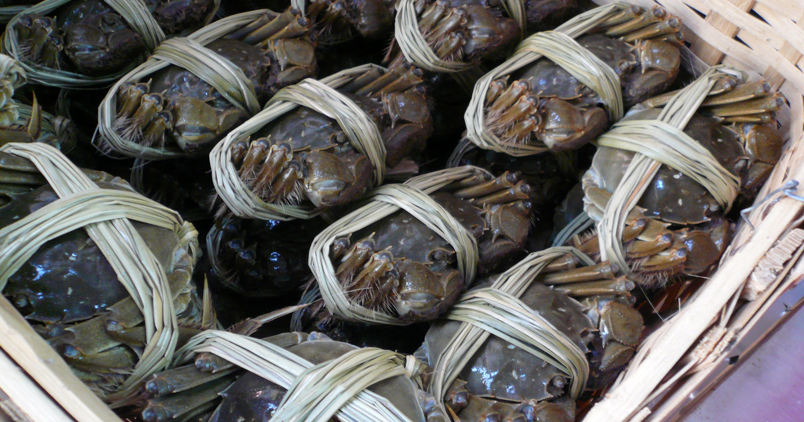 Hungry China Vending Machine Sells Large Hairy Crabs