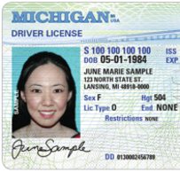 Obtain Restricted Driver License Michigan