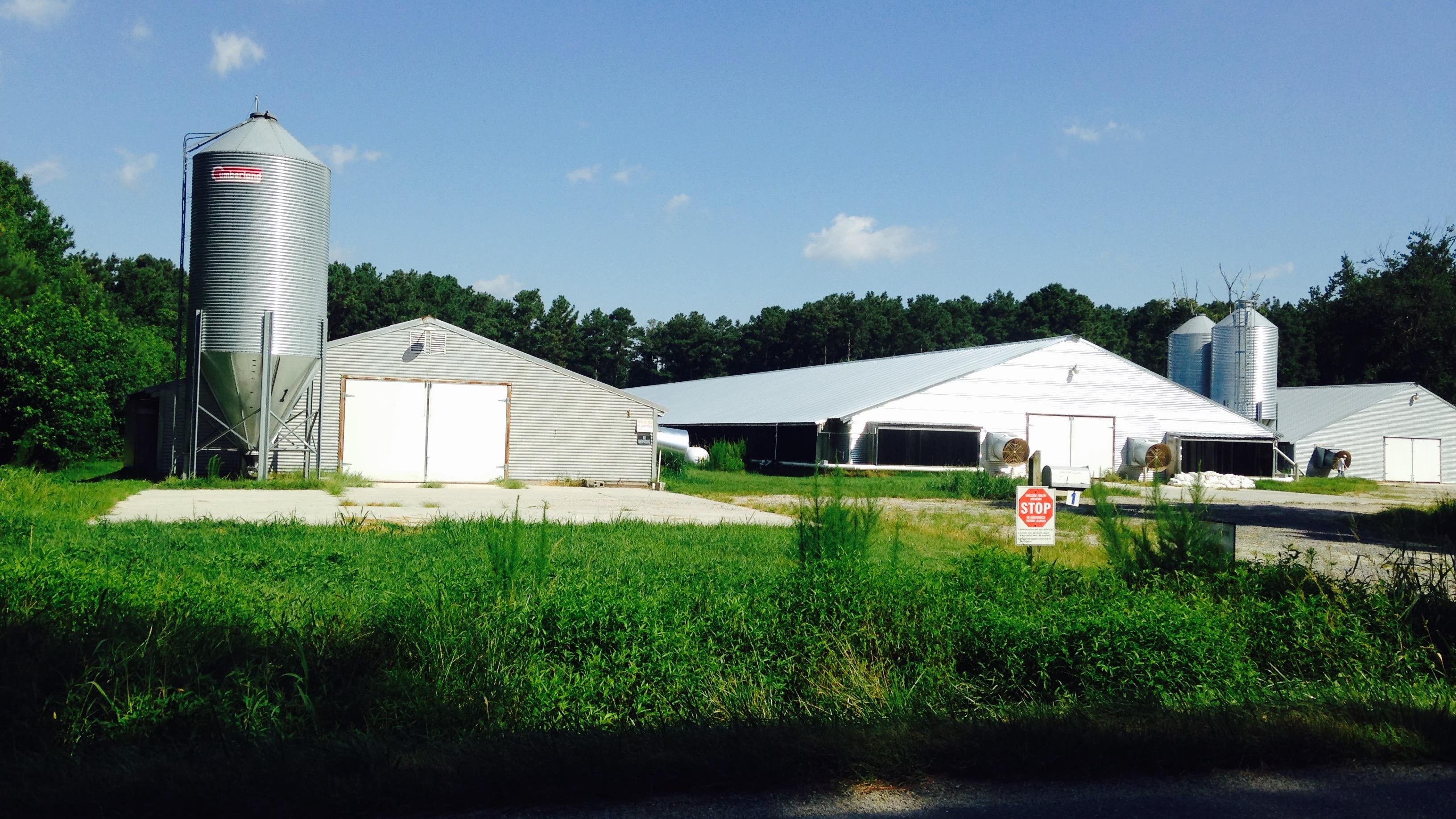 poultry farm for sale delaware maryland