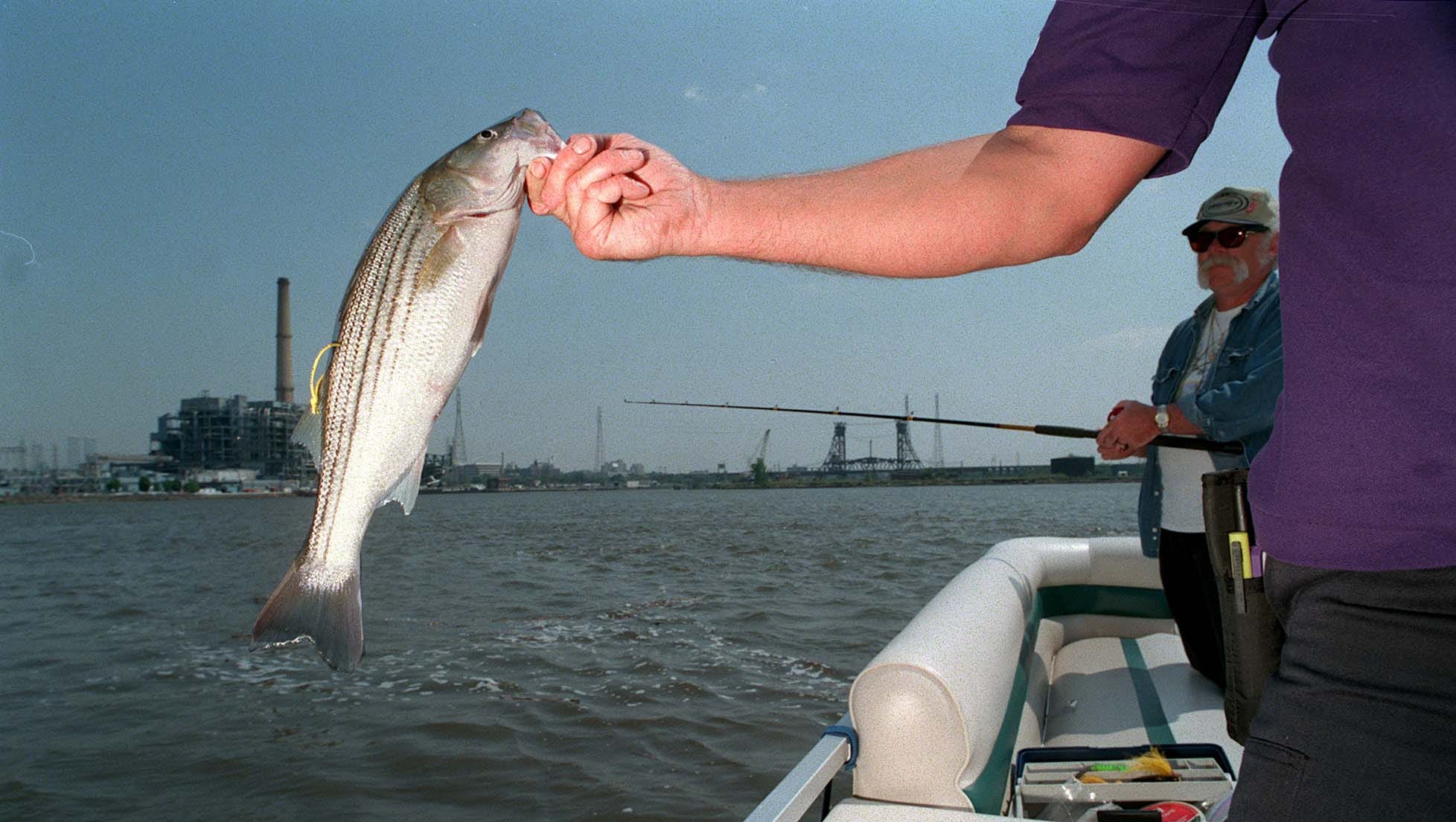 Raritan Bay Fishing Map Fishing: Raritan Bay A Hot Spot