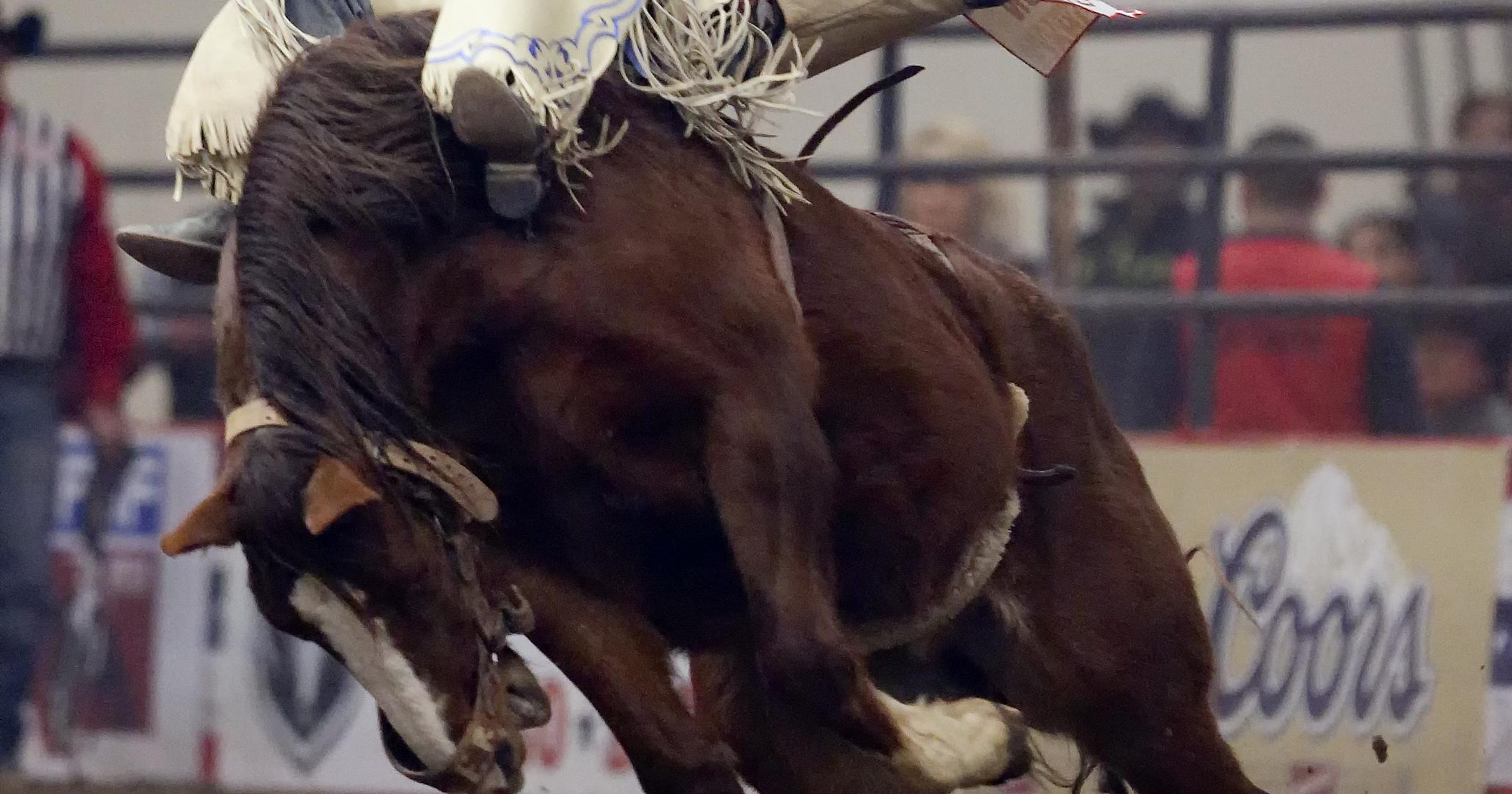 Rodeo: Montana Pro Rodeo Circuit Finals History