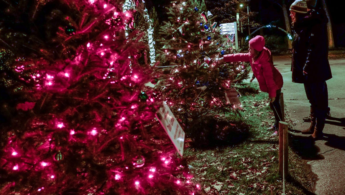 Photos Wonderland of Lights at Potter Park Zoo