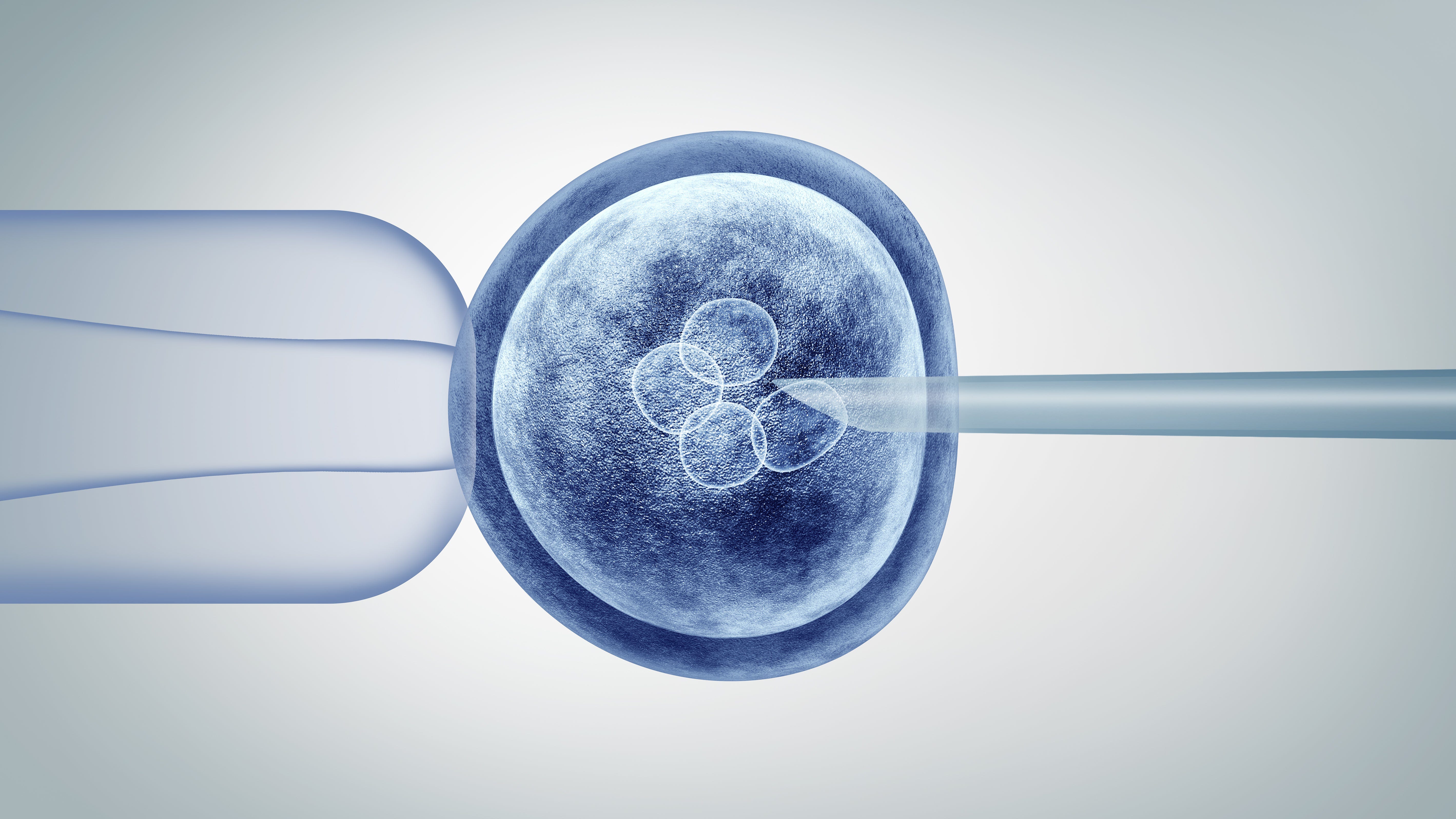 Gene editing a bluish  stem cell.