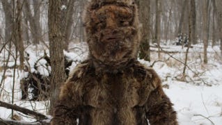 Bigfoot Sighting In McDowell Fur Clad Tourist Claims Responsibility   636379767130356971 Blogger Image  1241532042 