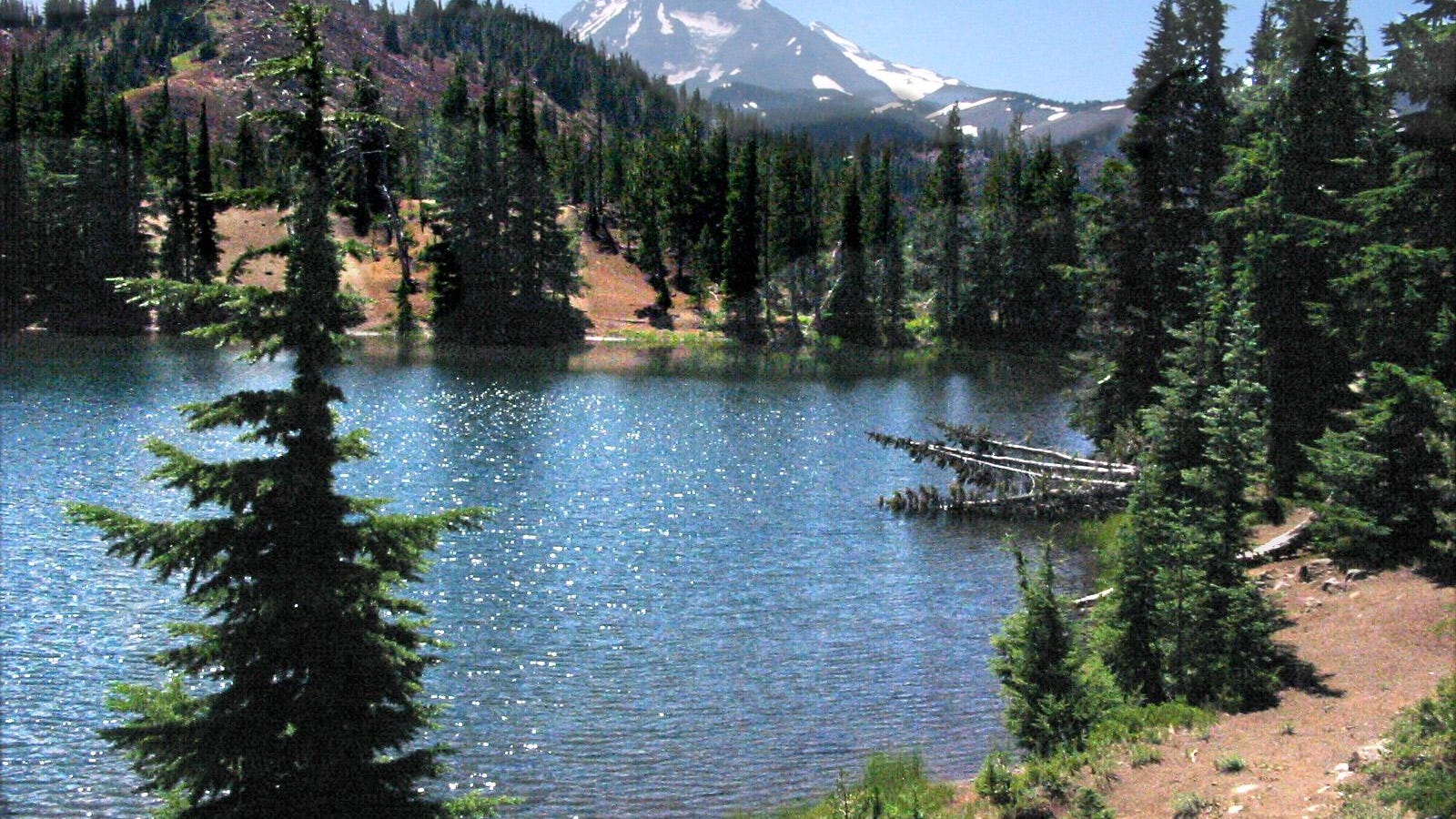 the 9 best hikes on mckenzie pass feature oregon s most dramatic views the 9 best hikes on mckenzie pass