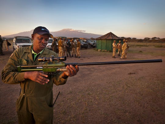 Tanzanians see official hand in elephant poaching