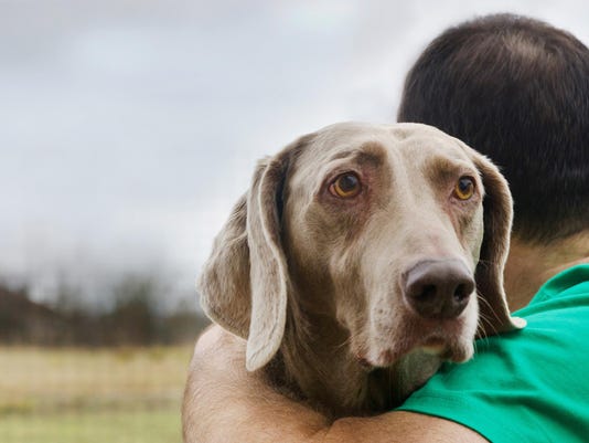 Animal Care Business Manager Does Much More Than Walk Dogs