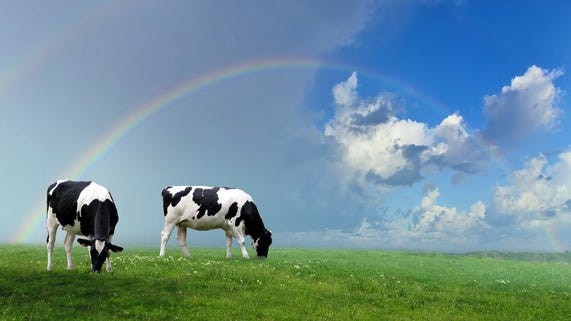 Dryden Dairy Day theme announced