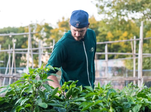 brewer at tonewood brewery in oaklyn, takes a tour of a garden