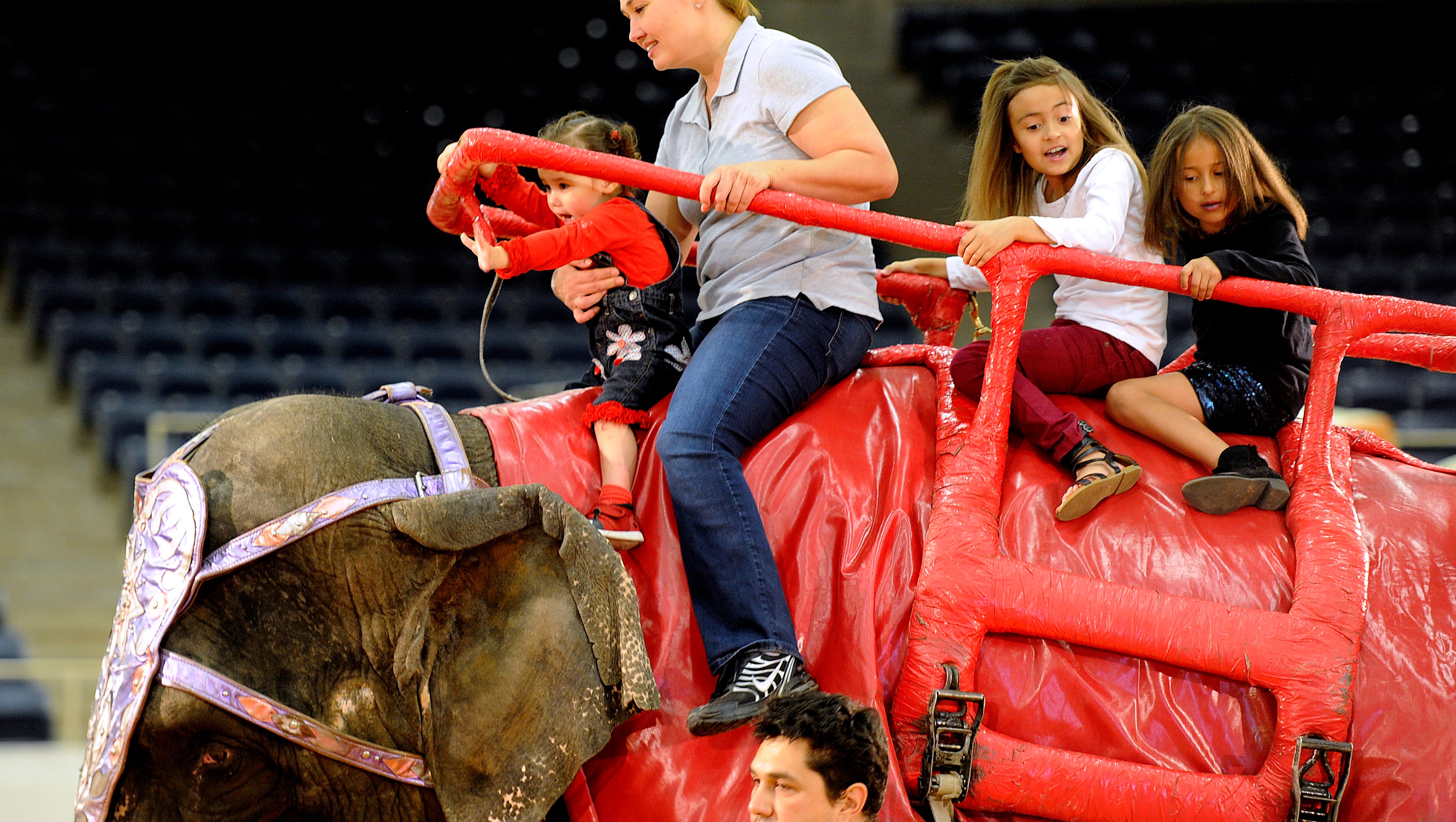 Shrine Circus Offers Elephant Camel Rides