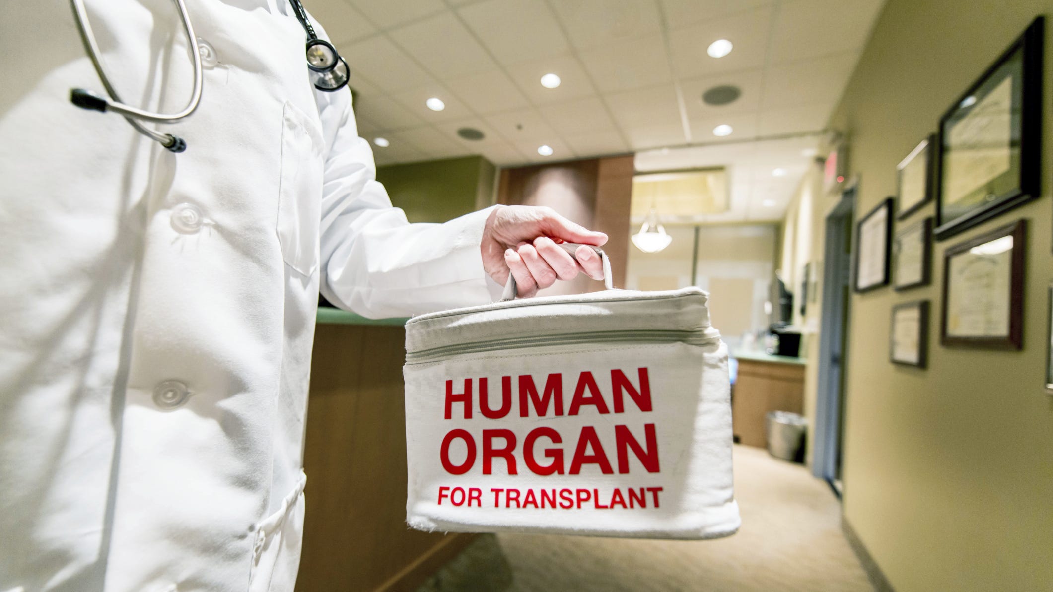 research articles on organ donors
