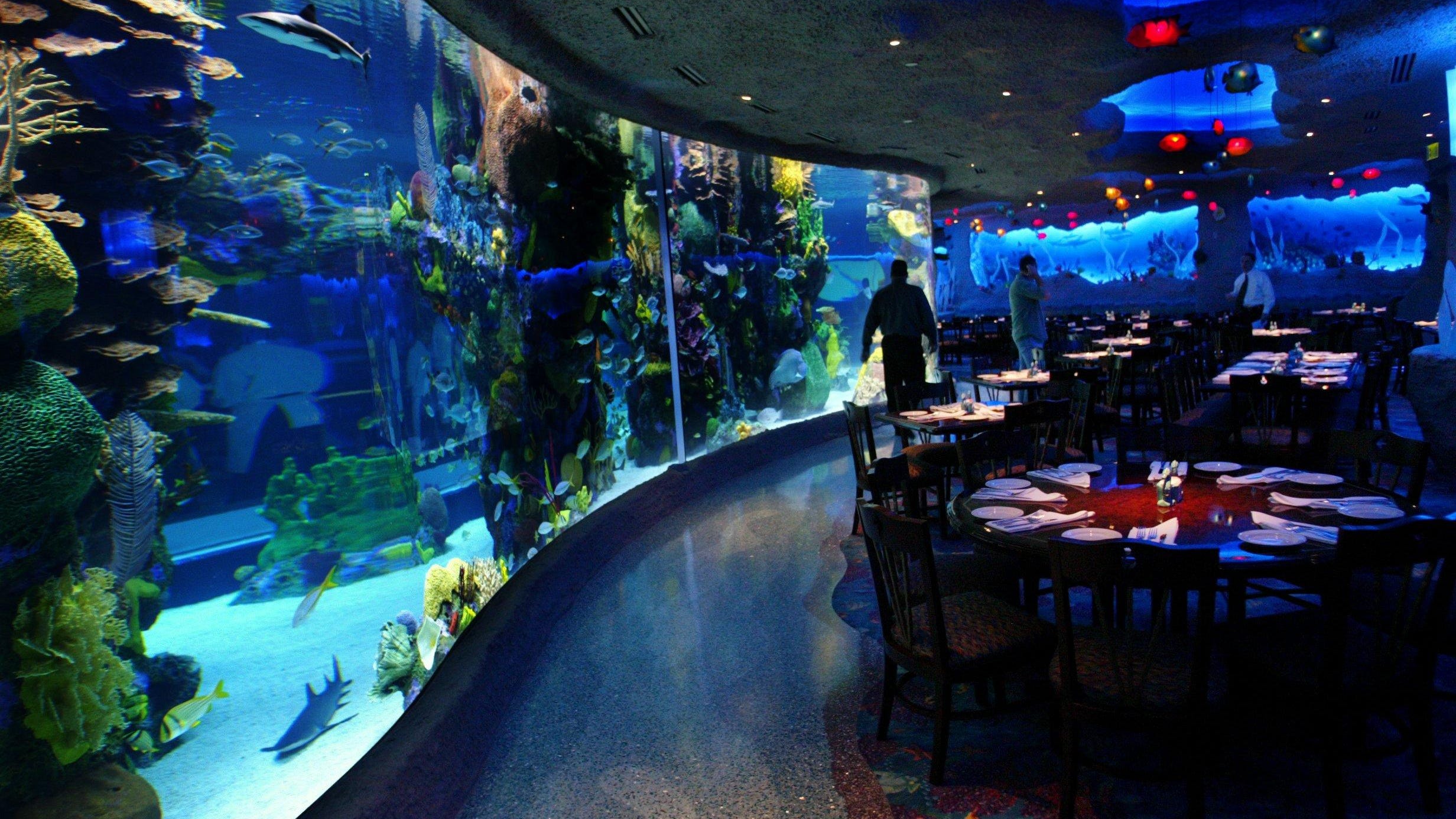 ресторан аквариум кемерово