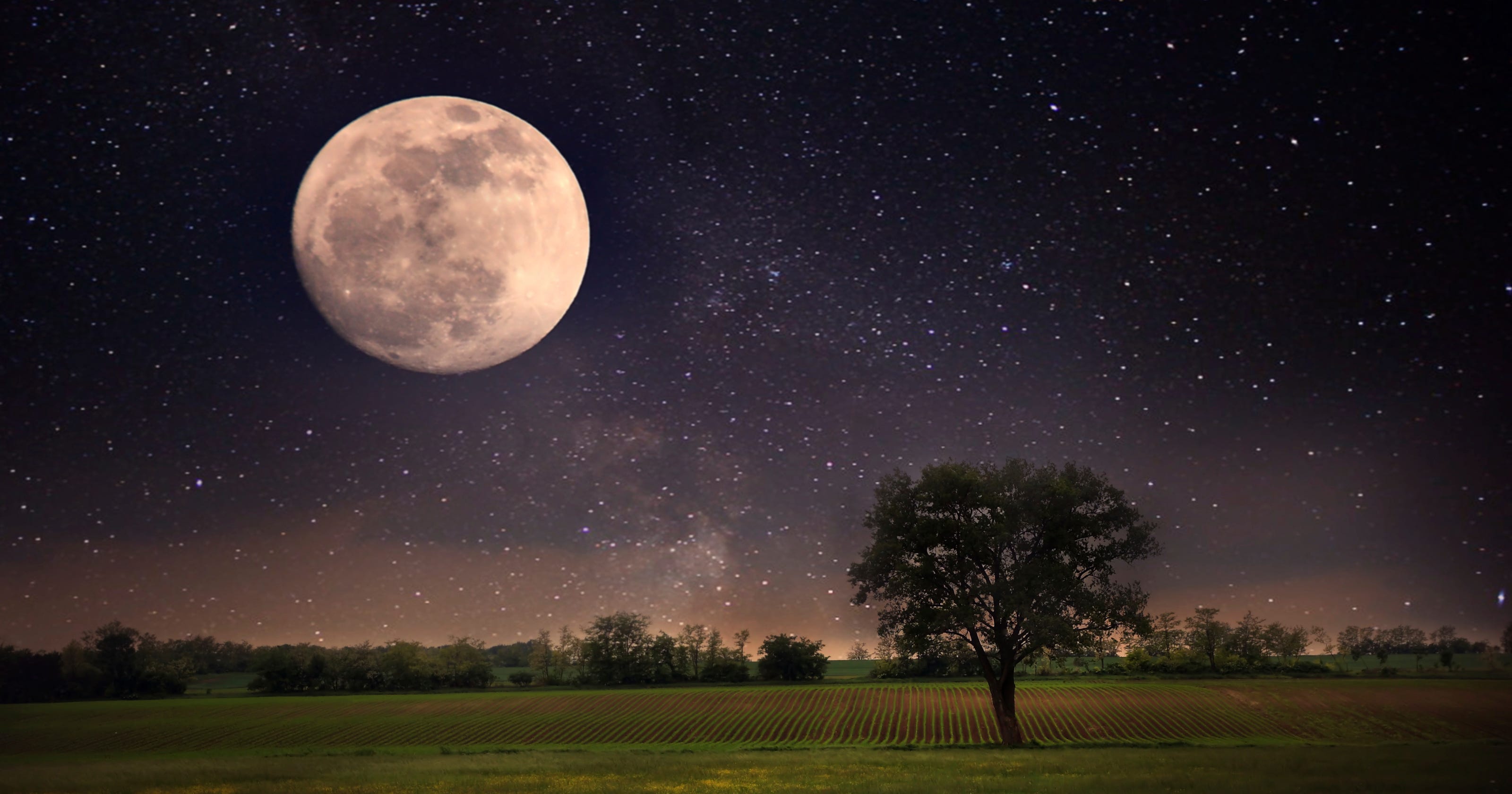 Astronomy in July Meteor shower, Milky Way and moon