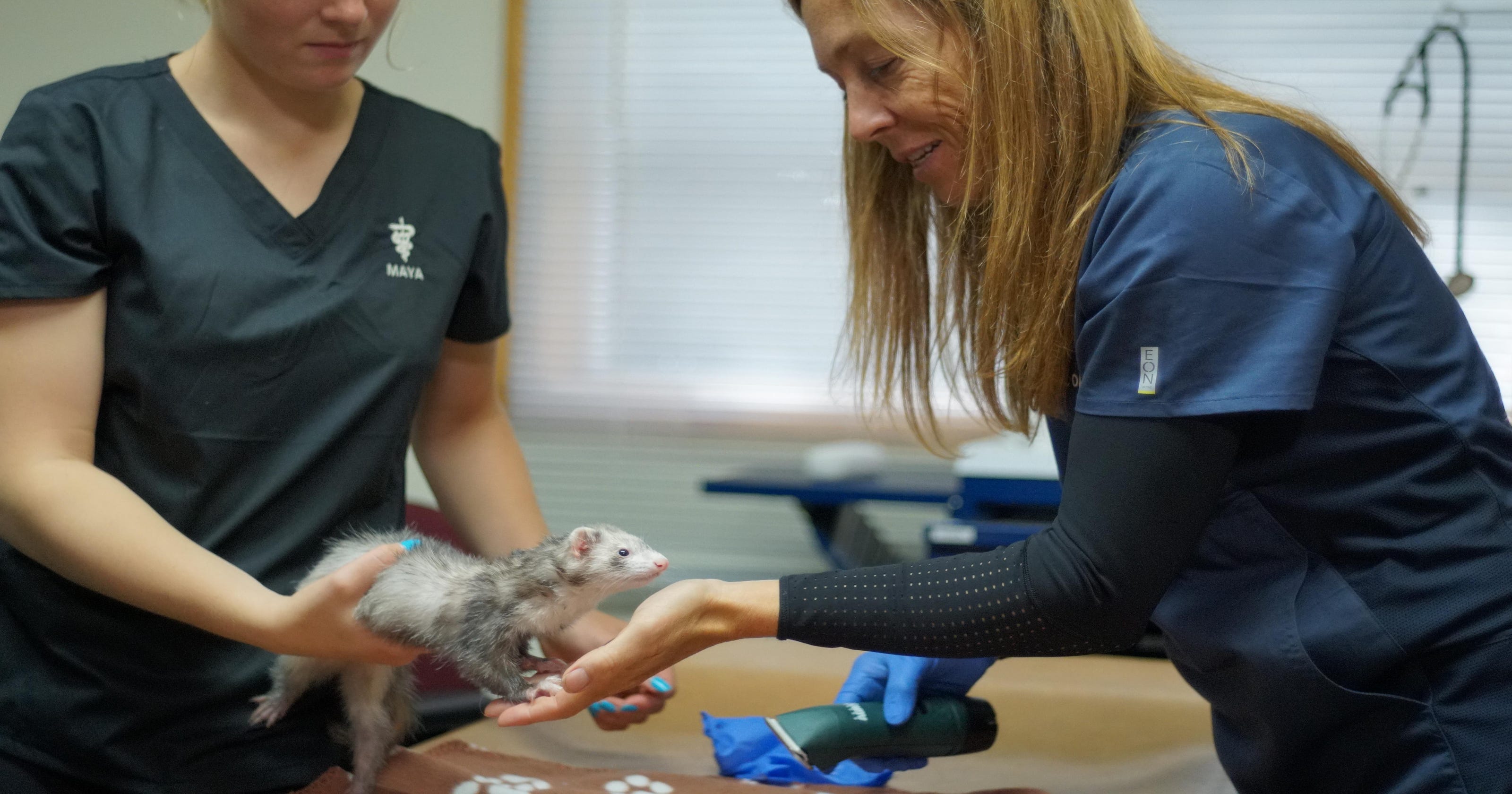 Nat Geo's ‘Yukon Vet’ has ties to Michigan 