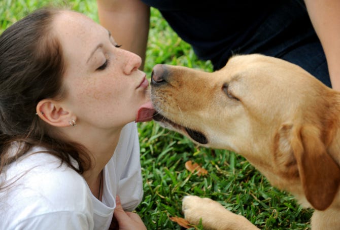 do dogs like to be loved on