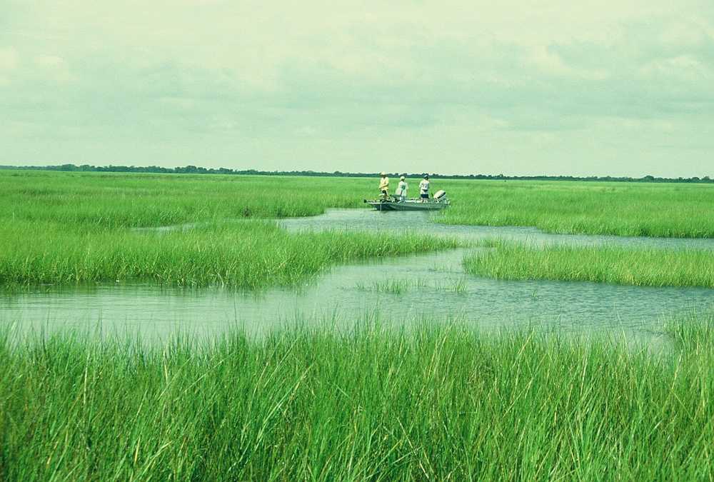 Matanzas River will hook you