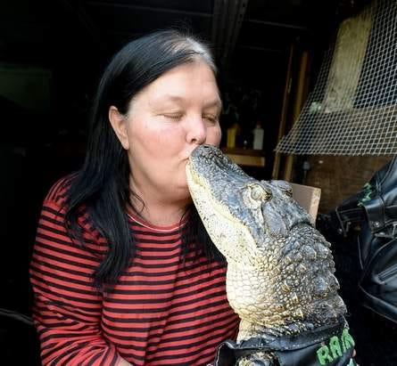 Lakeland woman fighting to keep her pet alligator