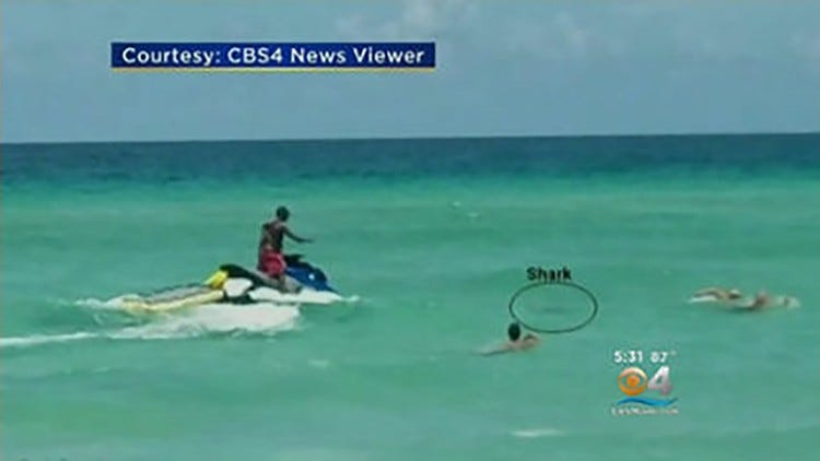 750px x 422px - Naked swimmer bitten by shark at Florida beach
