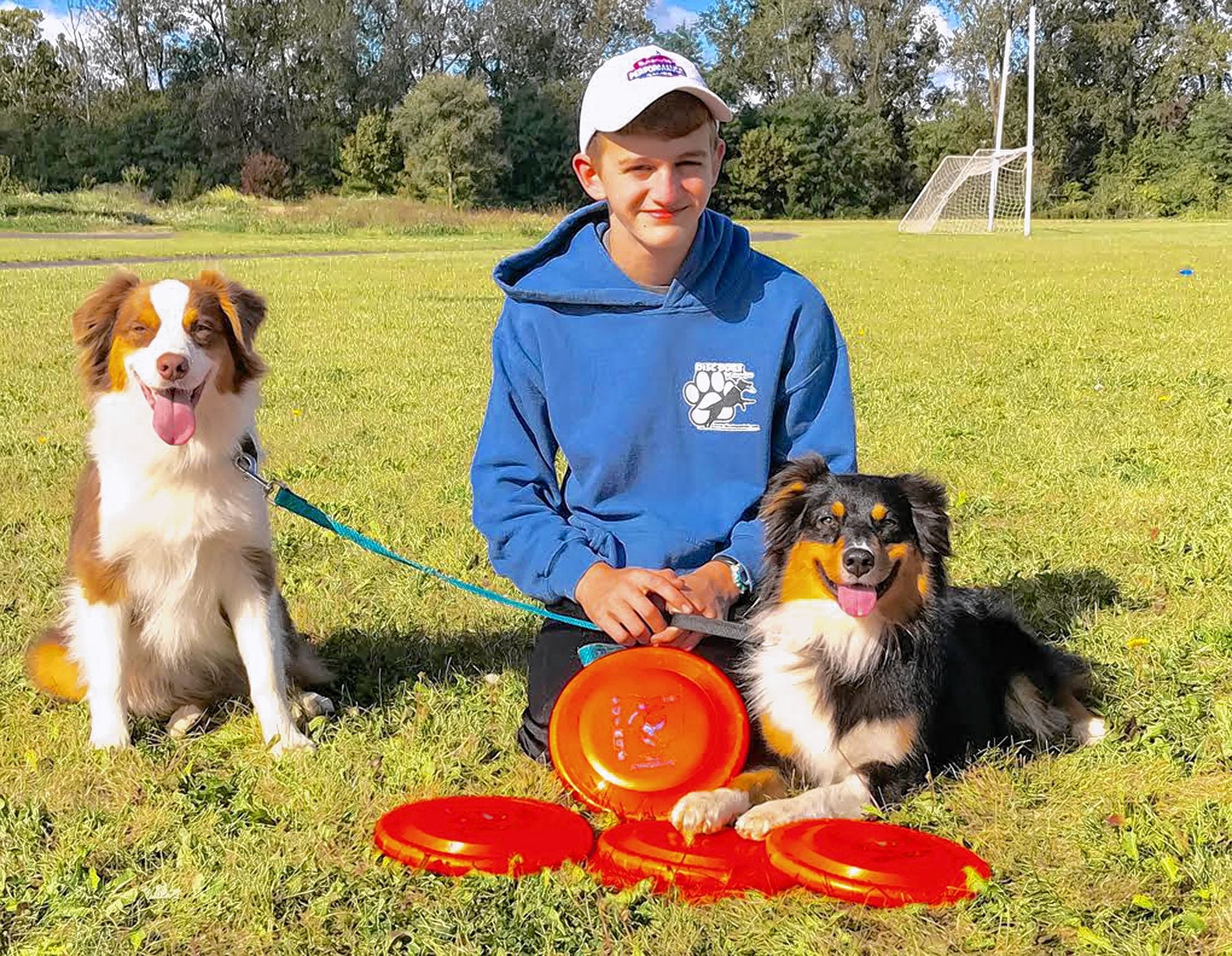 dog frisbee lincoln