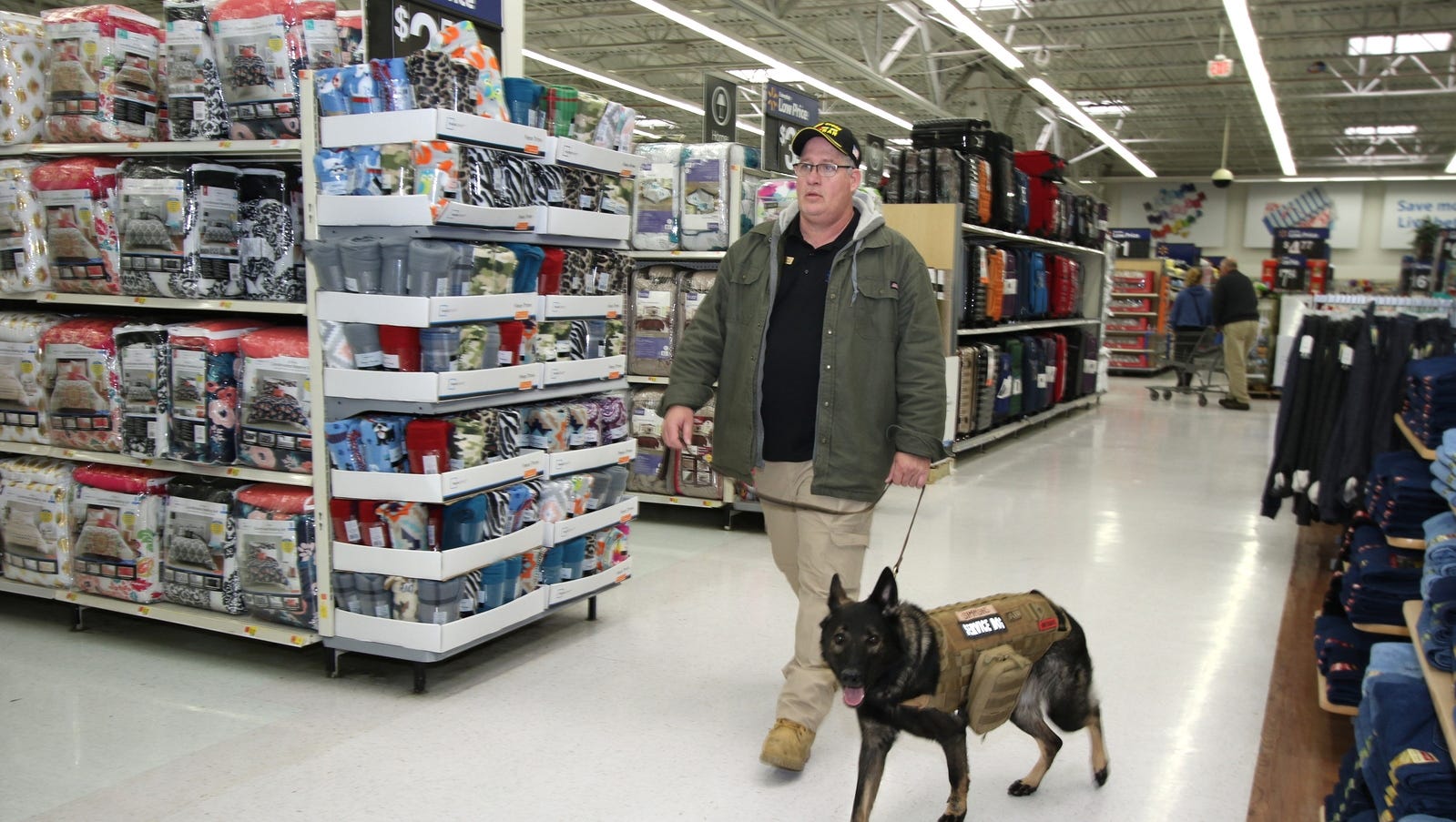 Dogs helping veterans PTSD