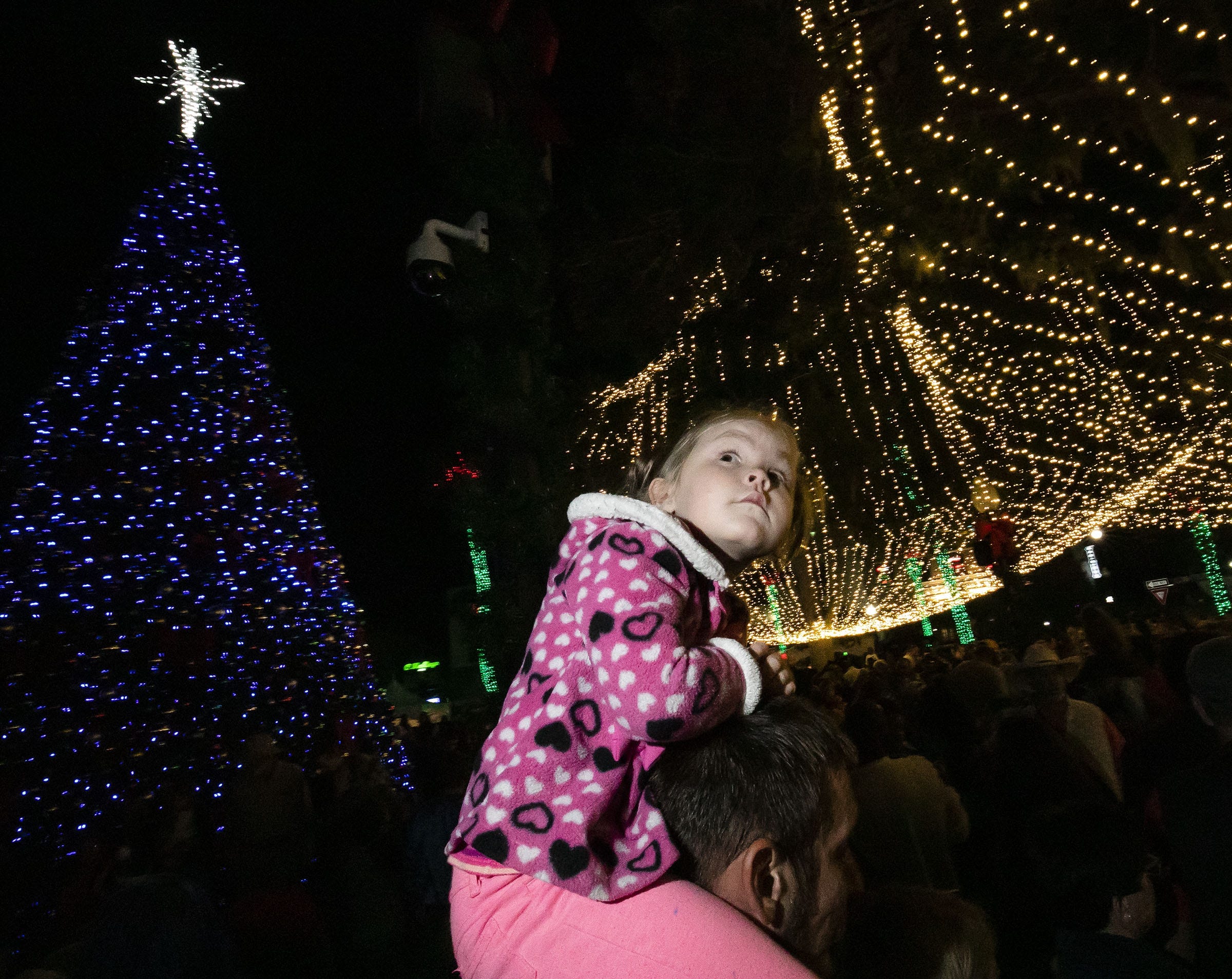 Christmas Light Displays Ocala Fl 2022 Where Are The Best Holiday Light Displays?