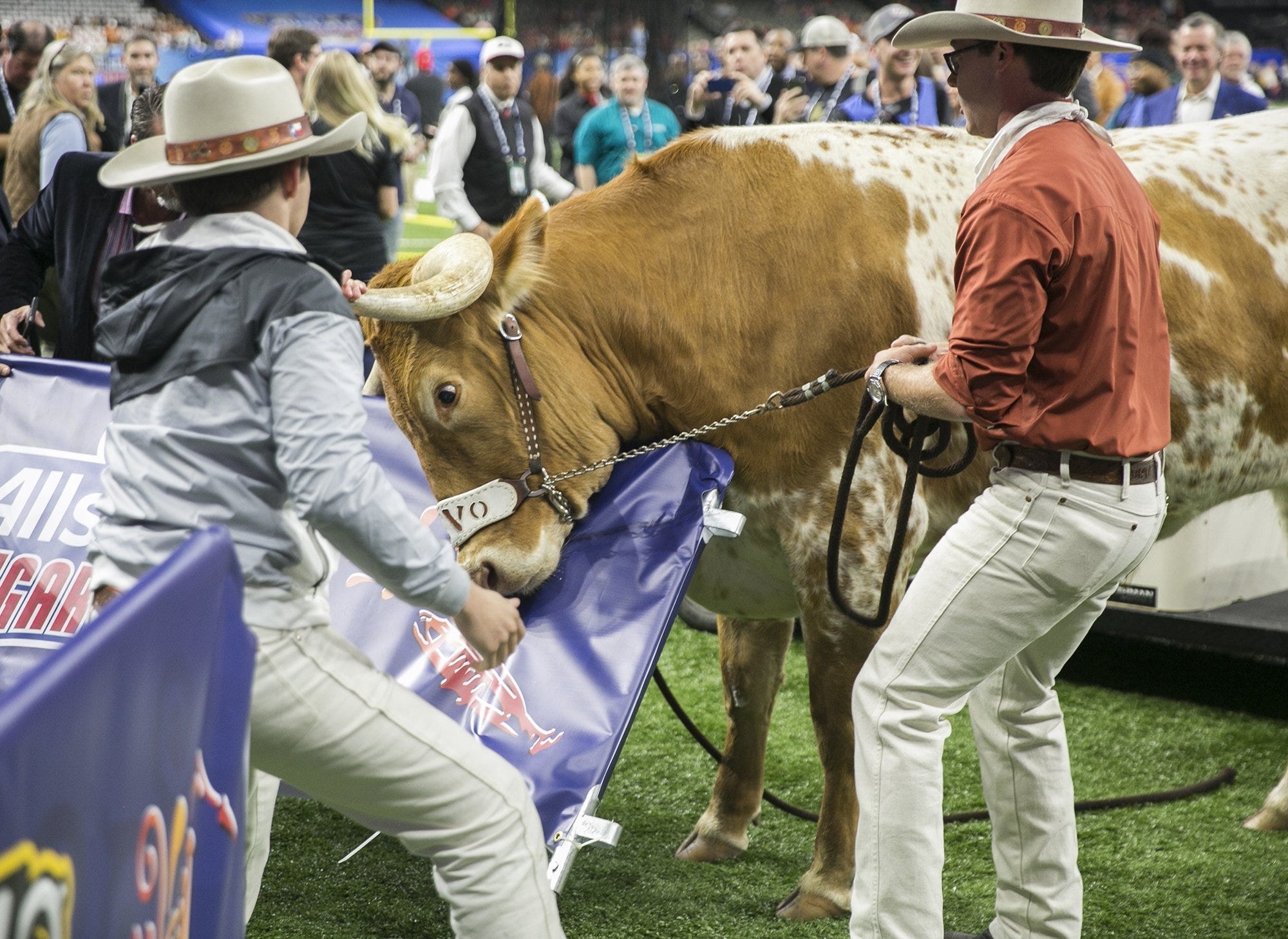 bevo sugar bowl