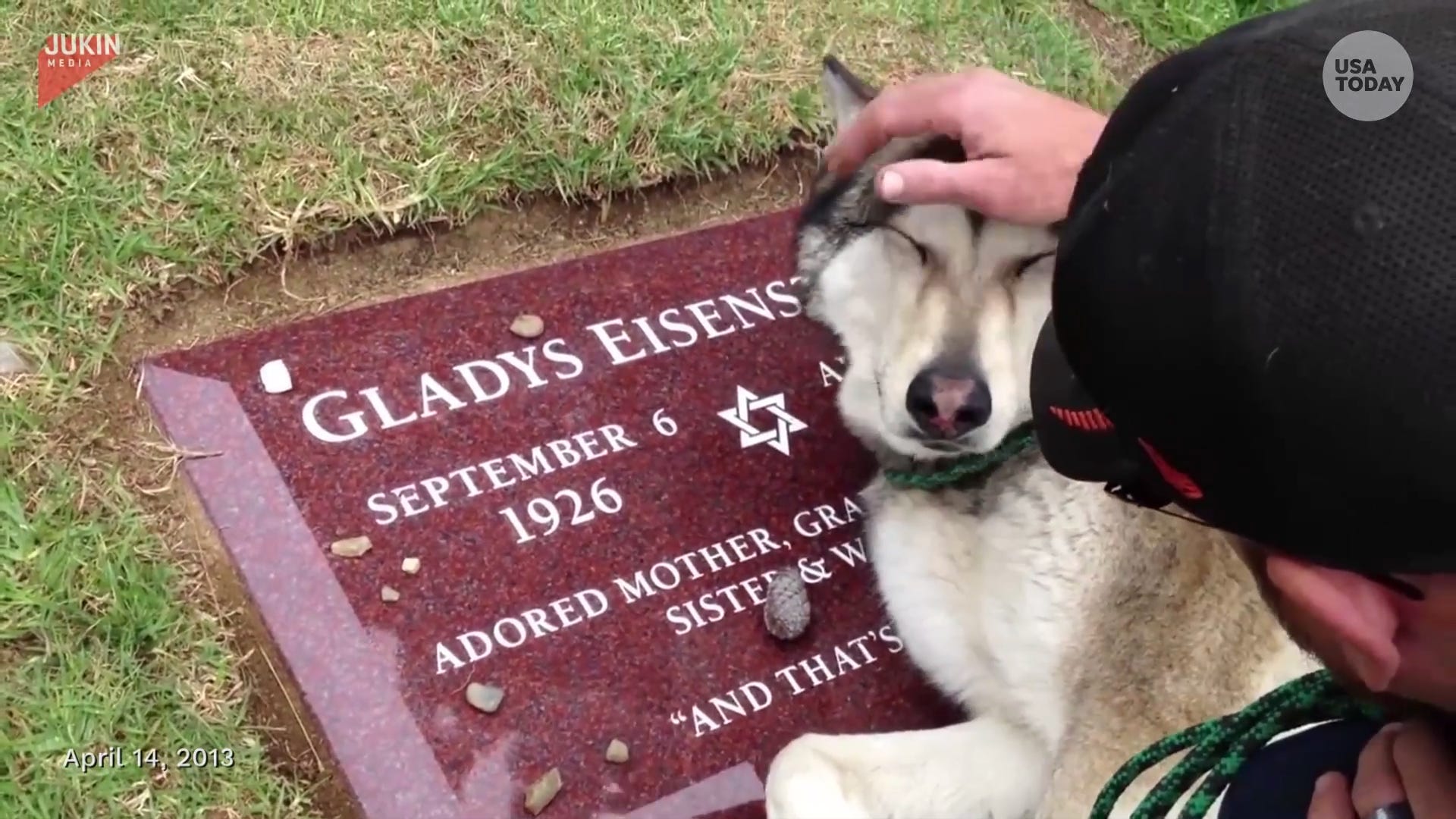 Husky mourns late owner at gravesite