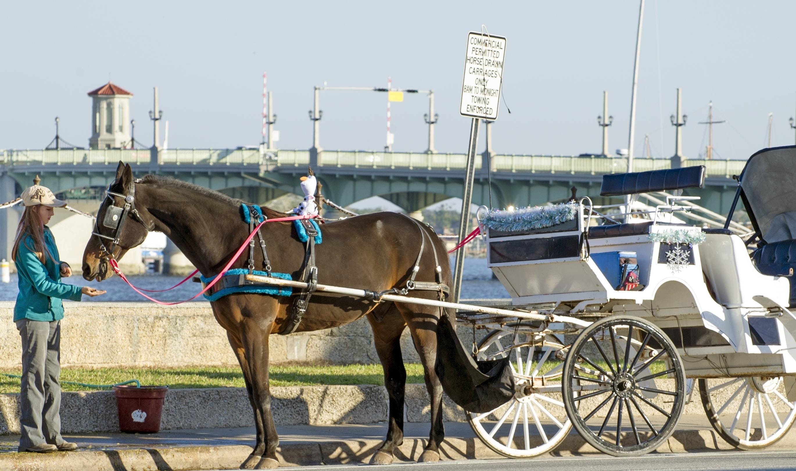 horse drawn cart plans