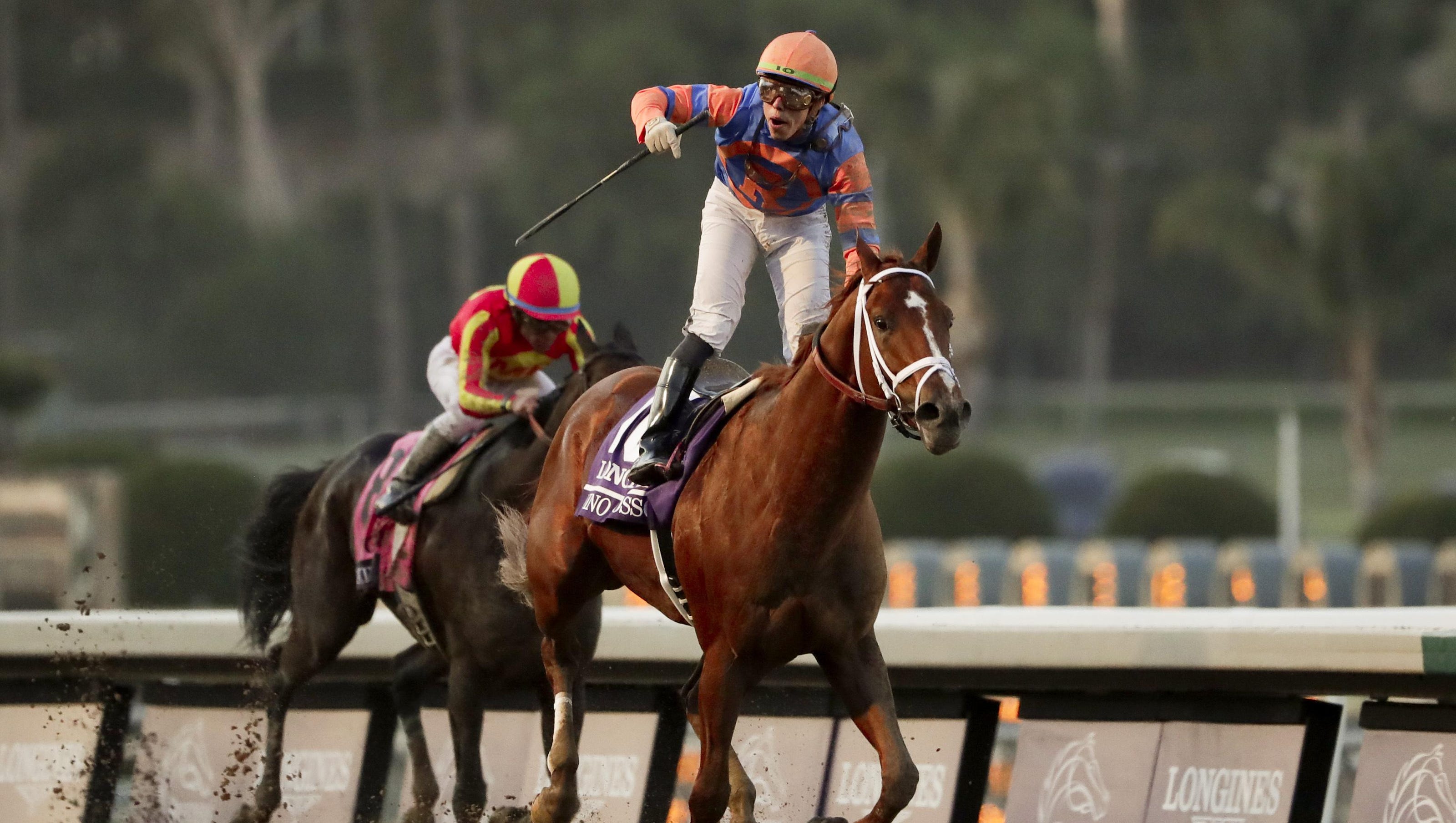 Ocalaconnected horses sweep Eclipse Awards