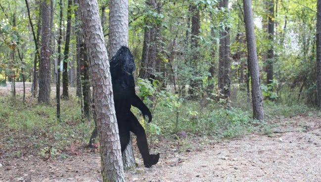 Bigfoot In The Wild