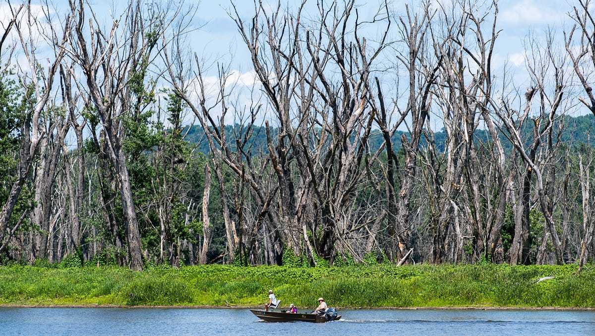 Mississippi River refuges get $10 million for nature-based solutions to climate change