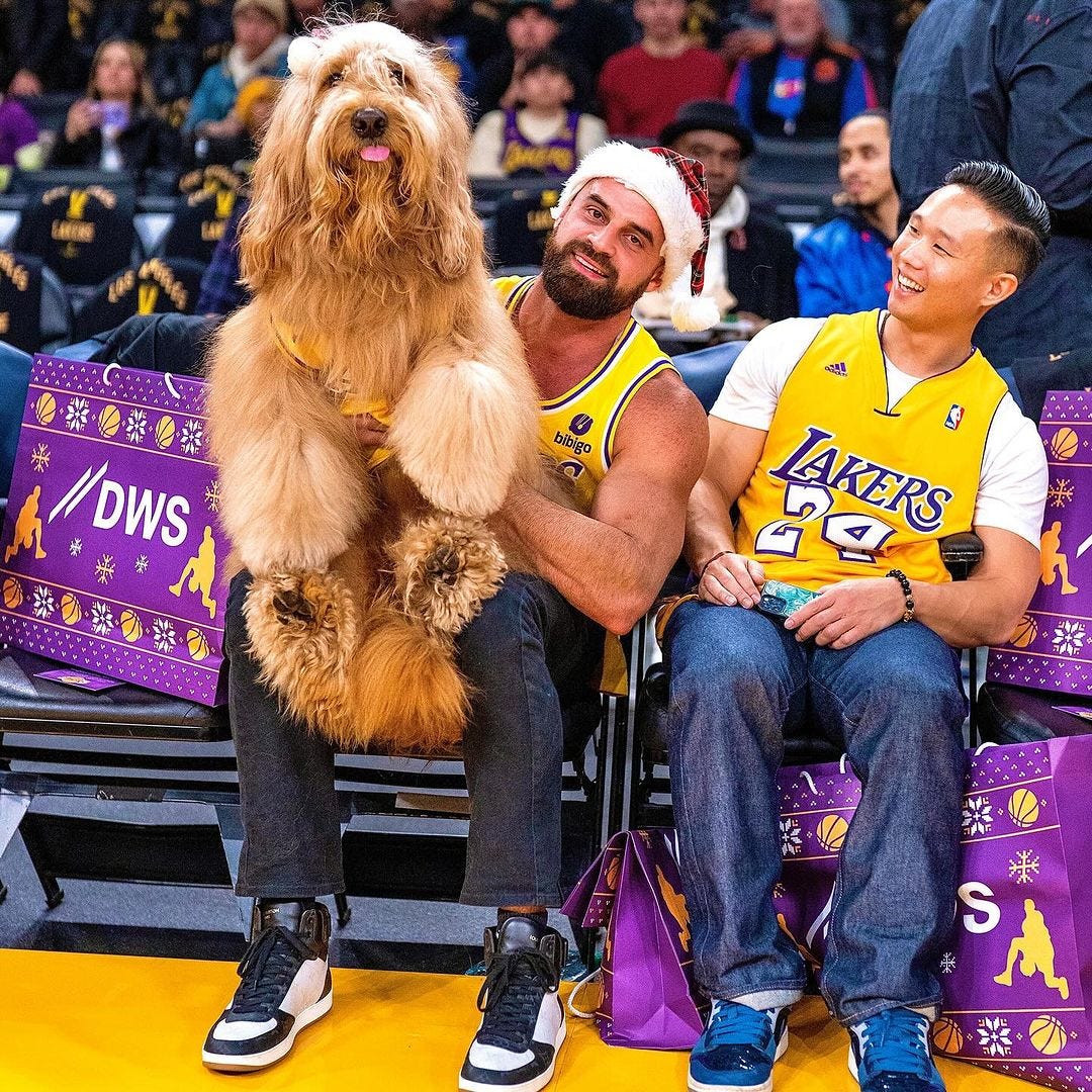 Call him MV pup Brodie the Goldendoodle entertains at Lakers game