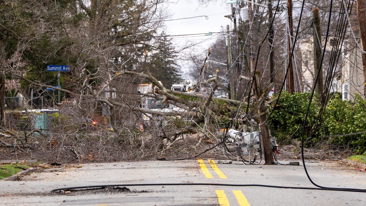 Strong winds causing downed trees, blocked roads, power outages in North Jersey