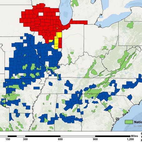 This U.S. Forest Service map shows where cicadas will emerge in Illinois and neighboring states. Brood XIII territory is marked in blue, while Brood XIX activity is indicated in red