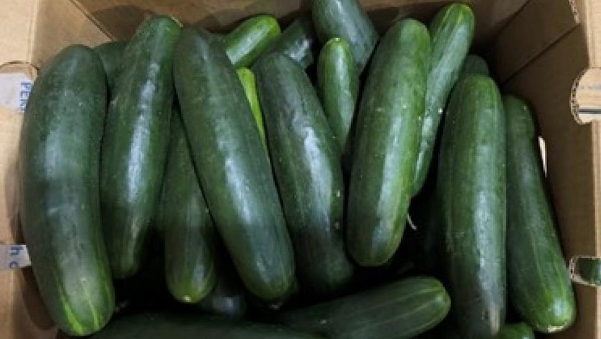 Florida cucumbers may be linked to two separate salmonella outbreaks, FDA says