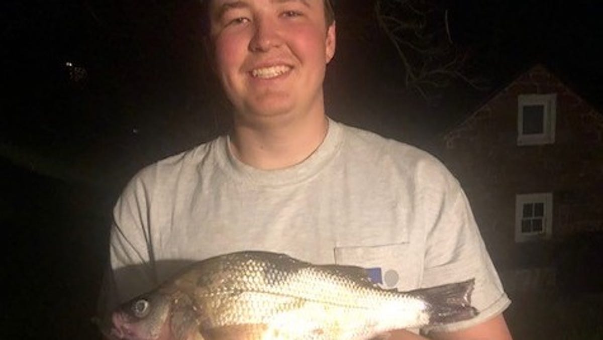 What is the record for white bass in Pennsylvania?
