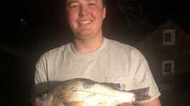 Teenage angler's catch breaks white perch record from 2008