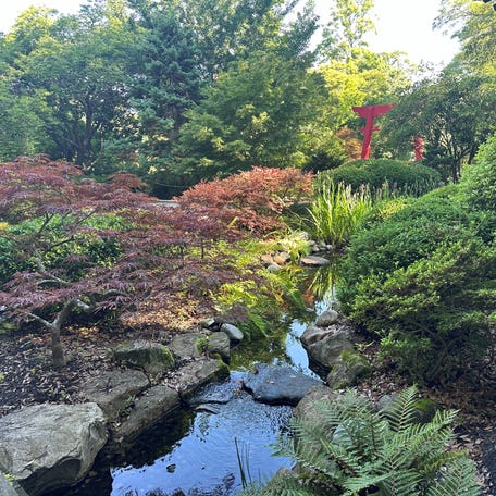 The Arboretum's Japanese Garden is just one of the themed gardens that the Arboretum offers. The garden features a flowing stream and a tea house where Arboretum and Cooperative Extension Director Lloyd Singleton said visitors will come and meditate and relax.