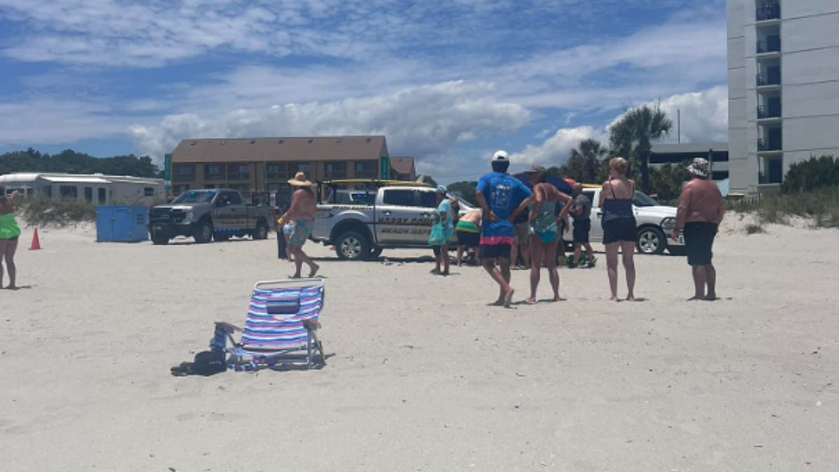 66-year-old woman hit and killed by police car on South Carolina beach