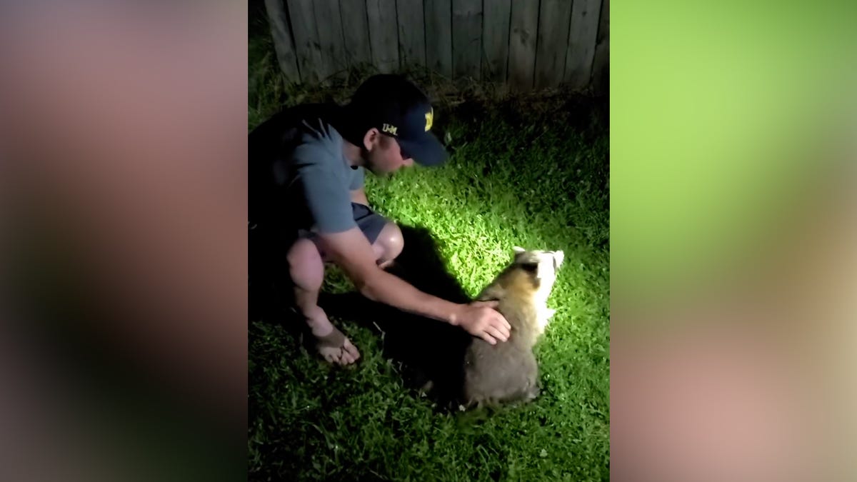 Watch campers in Michigan rescue a choking raccoon
