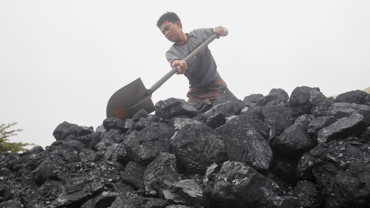 FILE PHOTO: A worker shovels coal as he loads a truck at a coal port in Hanoi February 23, 2012. REUTERS/Kham/File Photo