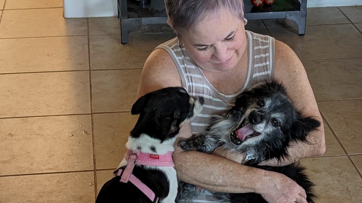 Barkee LaRoux provides love and care for unwanted older dogs