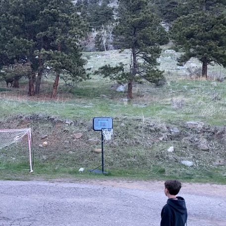 Two teenage boys where unexpectedly joined in a game of backyard soccer by a playful elk in Evergreen, Colorado.