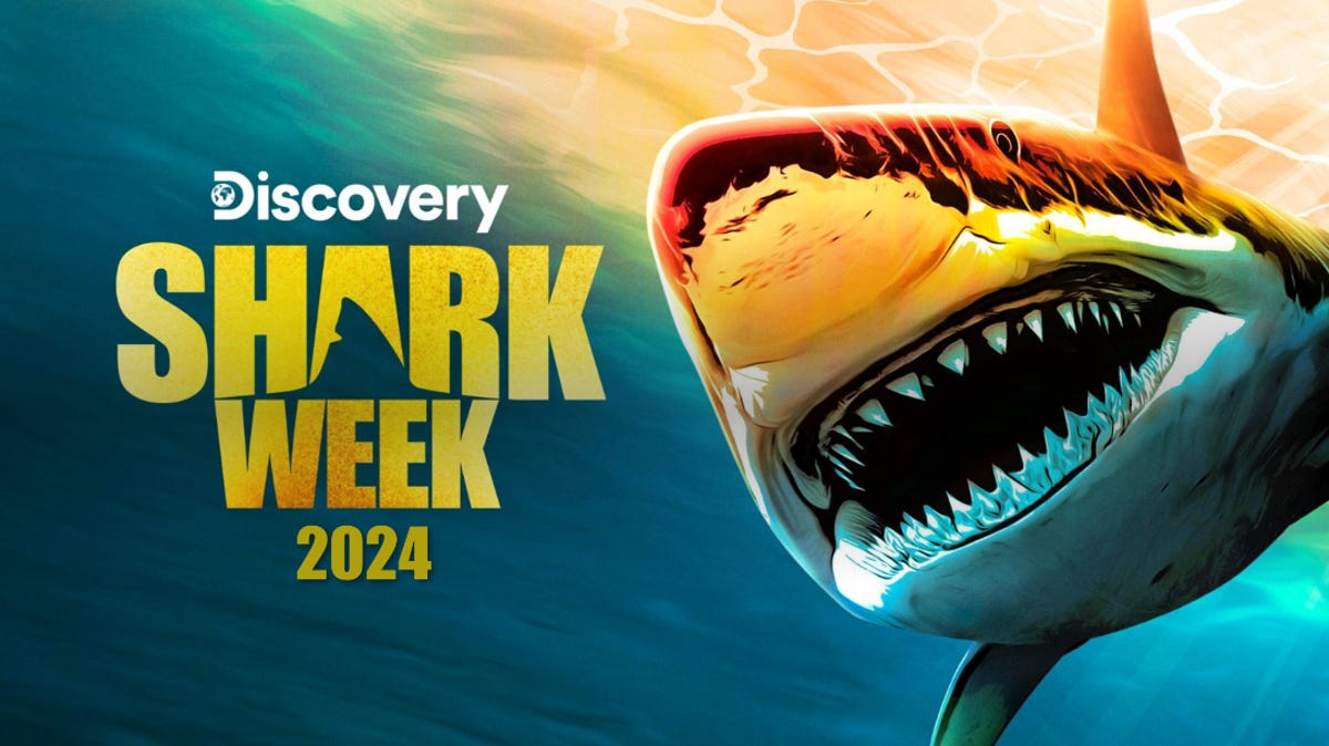 Read more about the article When is Shark Week? How to watch Shark Week 2024