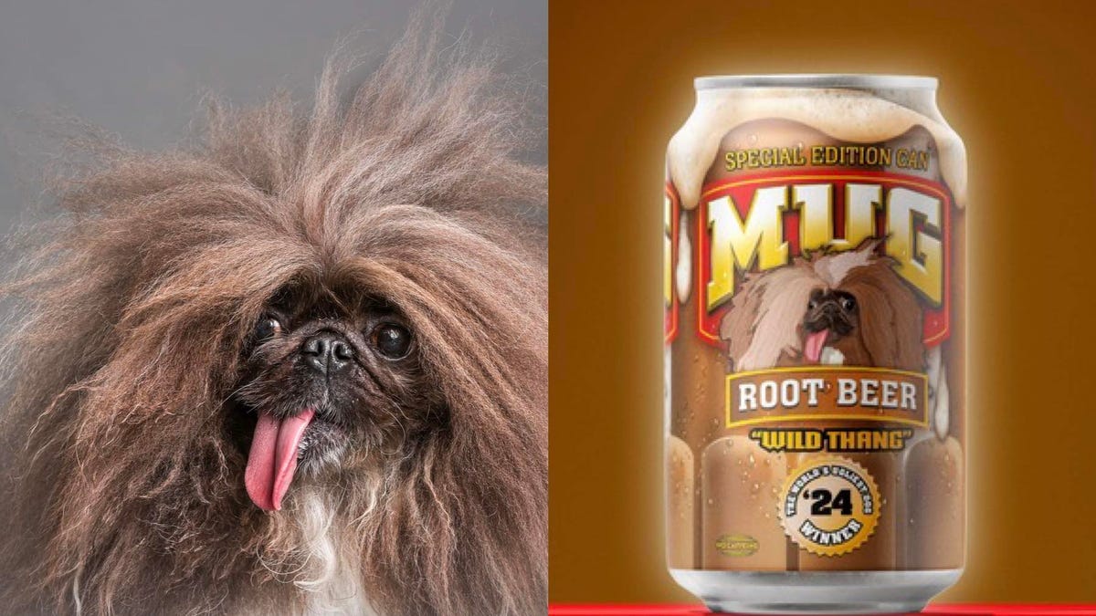 Read more about the article Wild Thang, dubbed the ugliest dog, receives a limited edition MUG Root Beer can