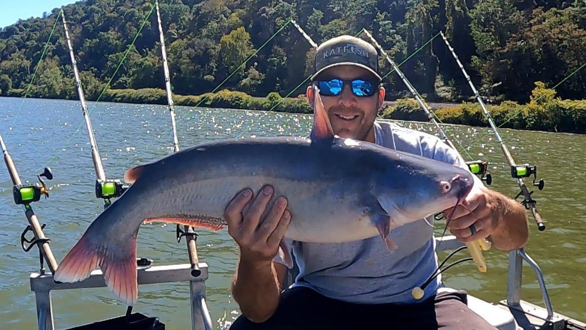 About 100,000 blue catfish stocked in Ohio River for future anglers to catch