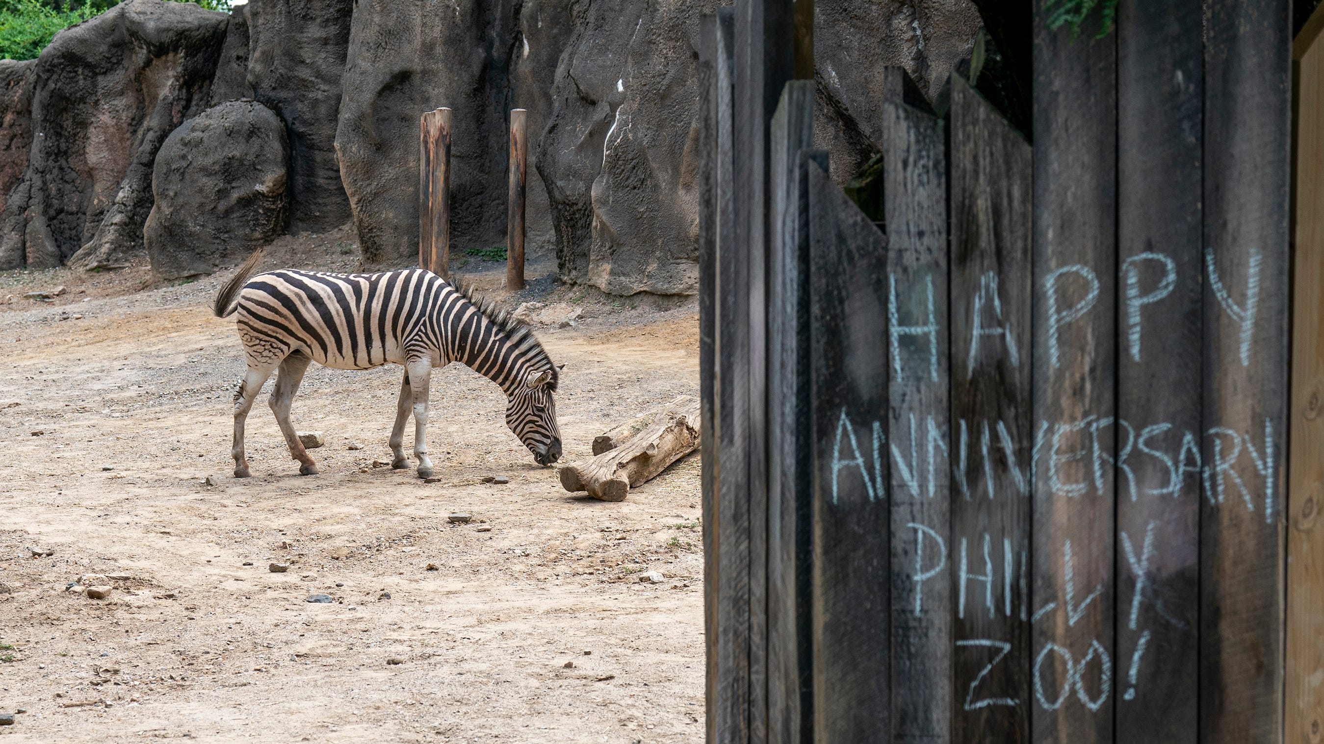 essay on visit to a zoo in 150 words