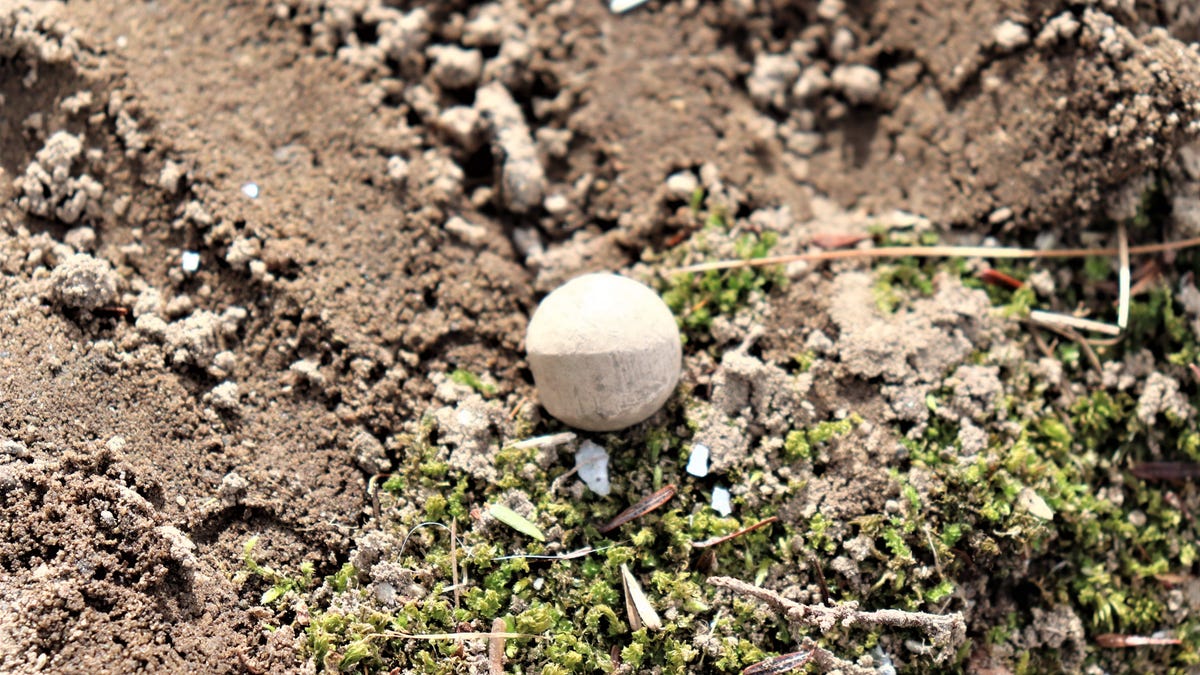 Five musket balls found in Concord at the site of the Revolutionary War
