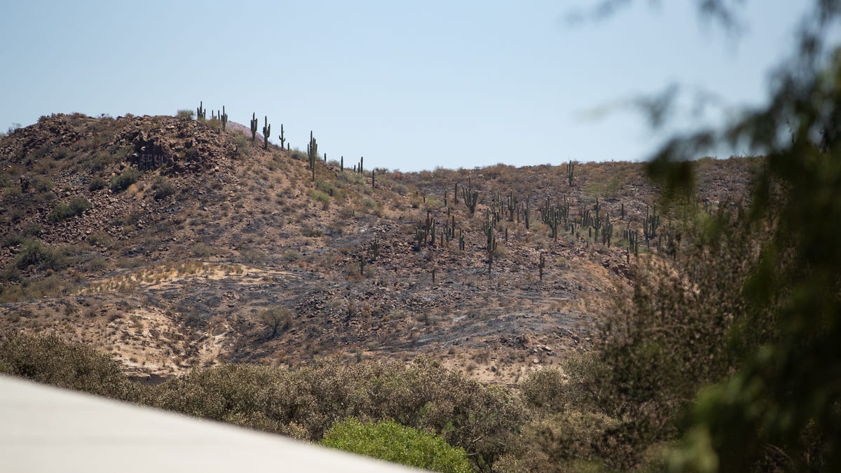 How to help the San Carlos Apache Tribe after wildfire devastation